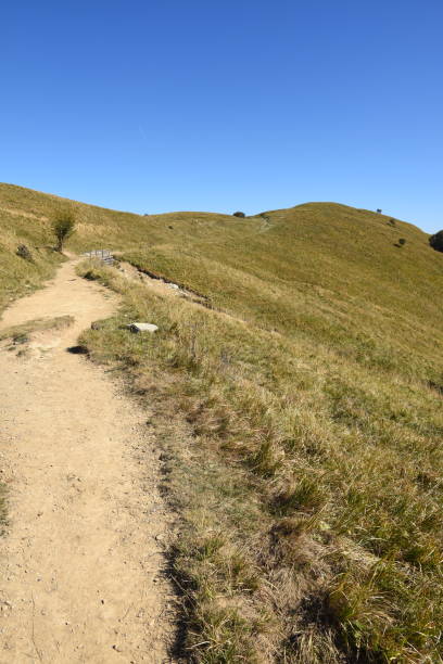 istock walk on the antola mountain on a sunny day 1142266248