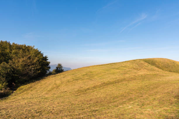 istock walk on the antola mountain on a sunny day 1142266301