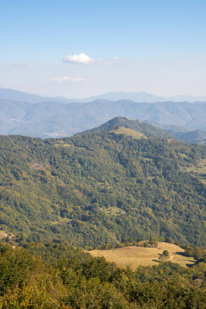 istock walk on the antola mountain on a sunny day 1142266363