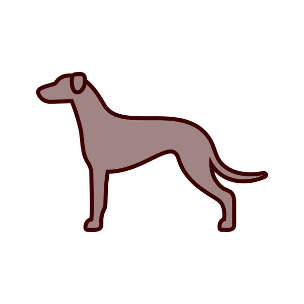 150+ Greyhound Logo Illustrations, Royalty-Free Vector Graphics & Clip ...