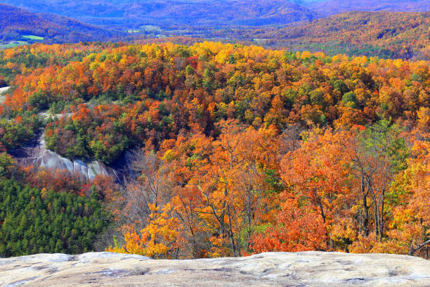 160+ Parco Statale Di Stone Mountain Carolina Del Nord Immagine Foto