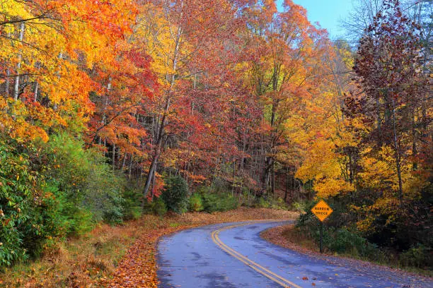 Fall foliage along a road in Stone Mountain State Park, located in the Blue Ridge mountains of northwest North Carolina
