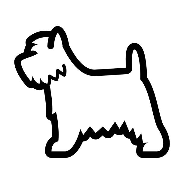 уэст-хайленд белый терьер собака значок изолированы на белом фоне - show dog stock illustrations