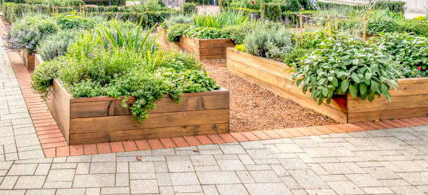 Raided beds in an urban garden growing plants herbs spices and vegetables Raided beds in an urban garden growing plants herbs spices and vegetables. flowerbed stock pictures, royalty-free photos & images