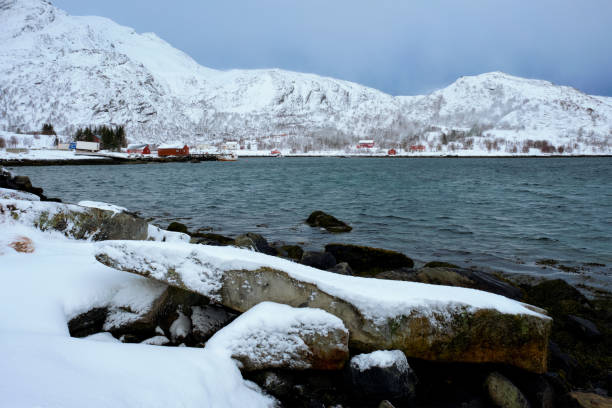 istock Red rorbu houses in Norway in winter 1142275603