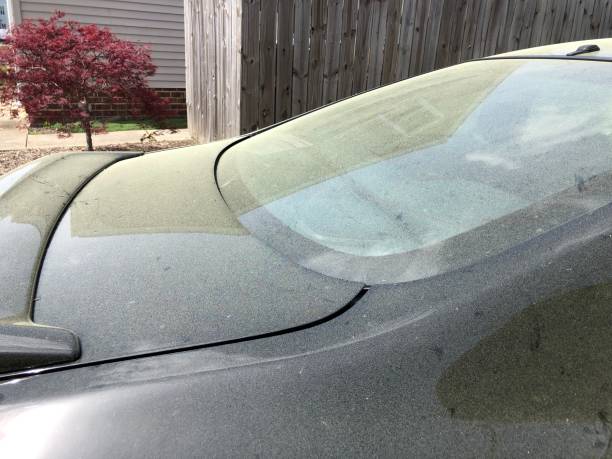 istock Close up of pollen on Black Car 1142276663