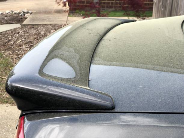 istock Close up of pollen on Black Car 1142276678