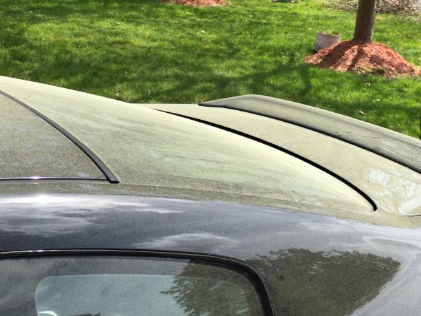 istock Close up of pollen on Black Car 1142276709