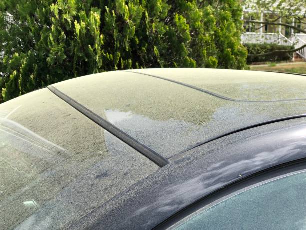 istock Close up of pollen on Black Car 1142276723
