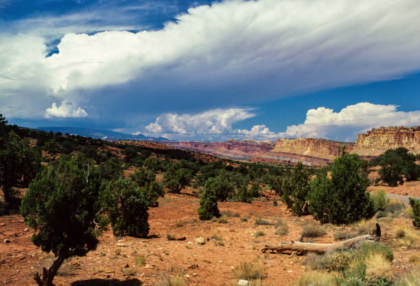 Capitol Reef National Park - Landscape - 1986