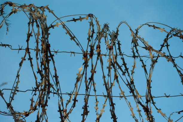 istock Old rusty barbed wire fencing against the blue sky 1142278503