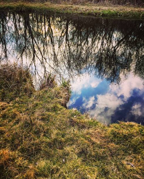 istock Reflection of the sky in the River 1142280326