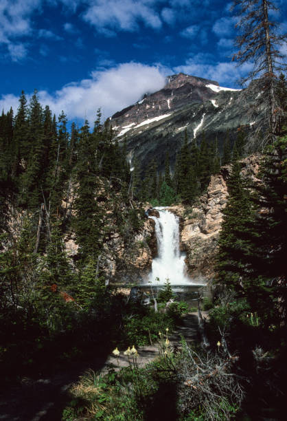 istock Glacier National Park Trick Falls - 1989 1142282347