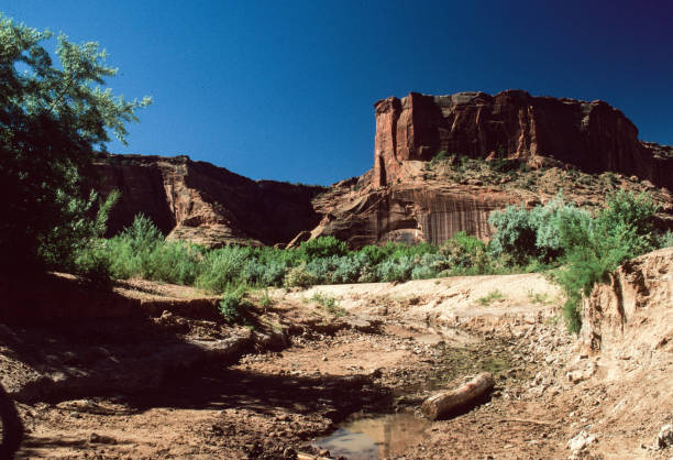 Canyon de Chelly in the Valley - 1998