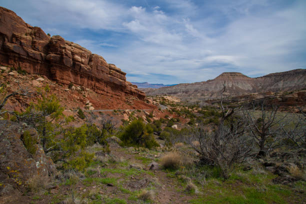 istock Beautiful geological features Colorado National Monument 1142282677