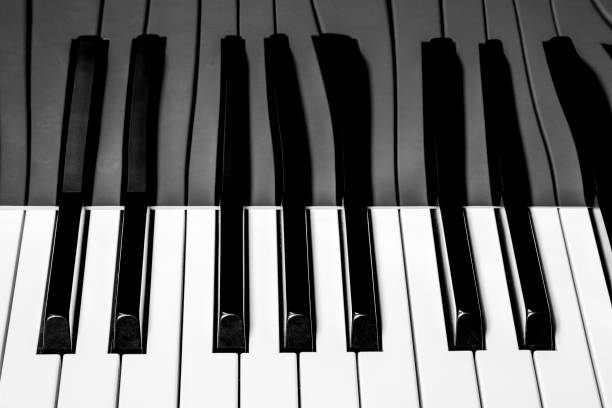 istock Fragment of electronic piano keyboard with reflection 1142286318