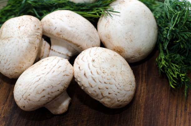 istock Fresh raw champignon on wooden cutting board 1142286431