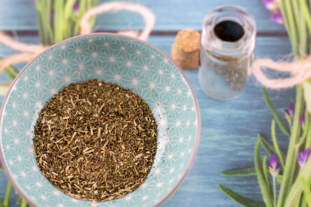 istock peppermint leaf detail, healthy herbs naturopathy 1142296208