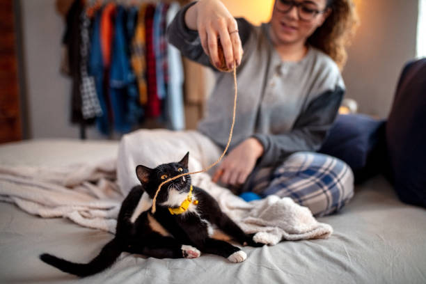 istock Young woman playing on the bed with her cat 1142296506