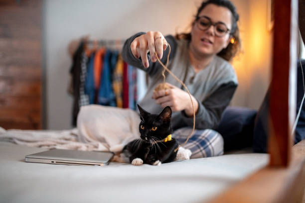 istock Young woman playing on the bed with her cat 1142296521