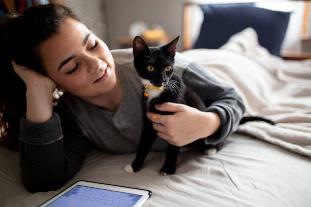 istock Woman in Bed with Cat 1142296712