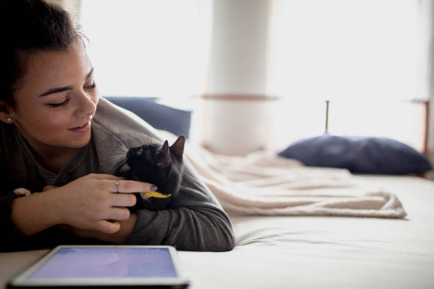 istock Woman in Bed with Cat 1142296723