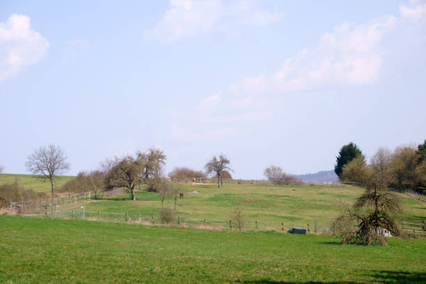 istock Hilly landscape with meadow and pasture fence 1142299129