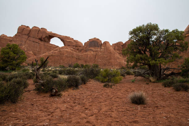 istock Arches National Park in Utah 1142309962