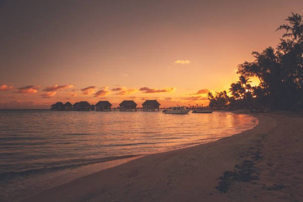 tropikalna wyspa resort paradise podczas zachodu słońca - polynesia bungalow beach sunrise zdjęcia i obrazy z banku zdjęć