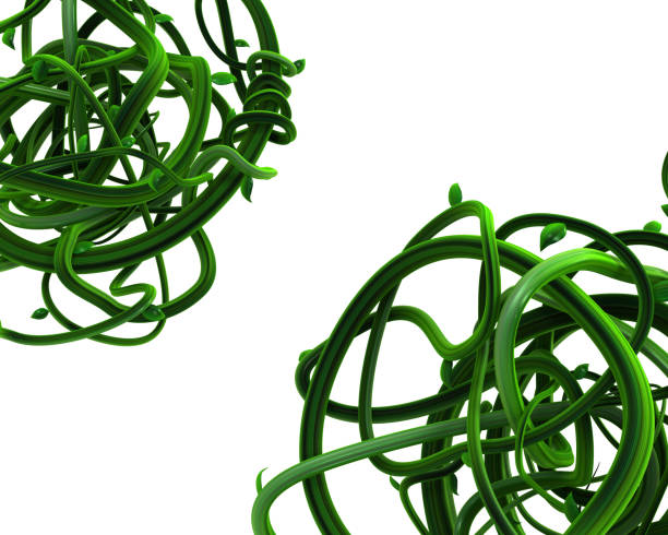 istock Plant Vines Green, Spiral Corners 1142329435