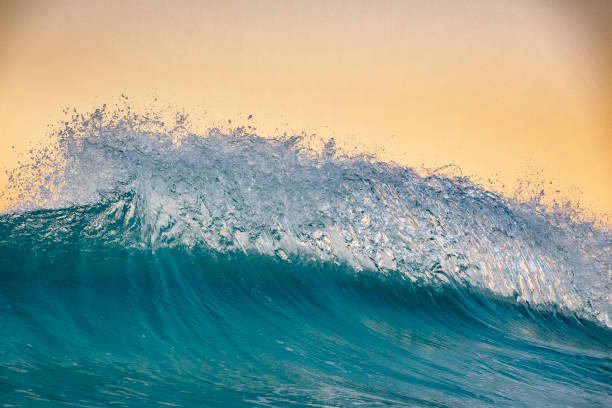 istock Wave peaking into the golden sky 1142329450