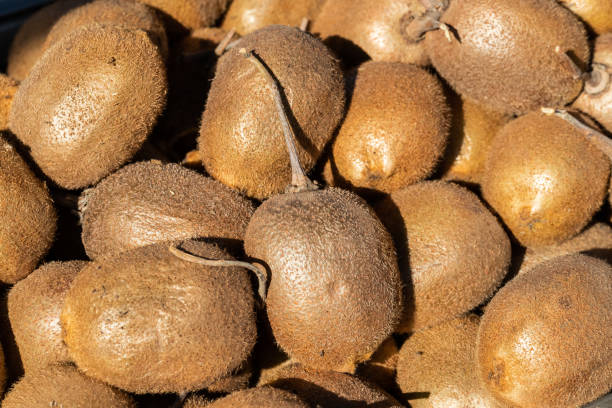 istock Market fresh fruit, kiwi 1142334466