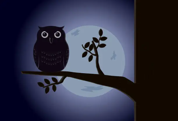 Vector illustration of Owl on branch at night vector