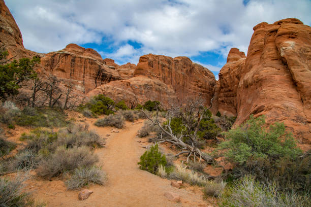istock Arches National Park in Utah 1142335694