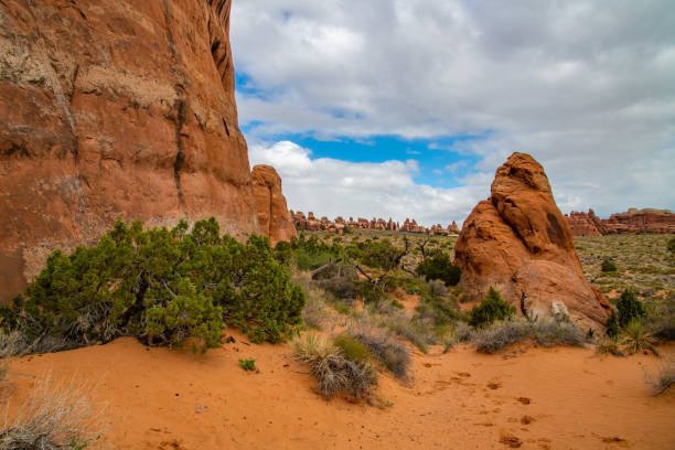 istock Arches National Park in Utah 1142337063