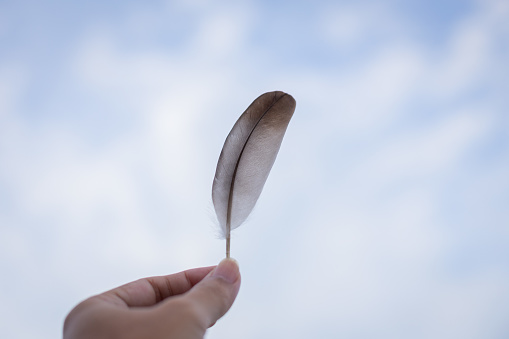 Feather in hand on blue sky background
