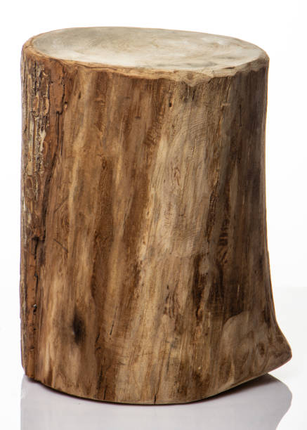 istock Wooden Butcher Round Shaped on White Background. 1142339655