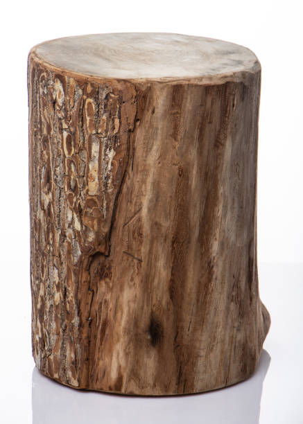 istock Wooden Butcher Round Shaped on White Background. 1142339662
