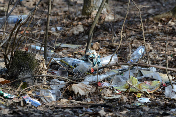 istock Garbage in the spring forest. The problem of ecology and pollution of nature 1142344857