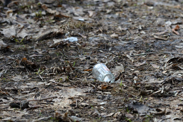 istock Garbage in the spring forest. The problem of ecology and pollution of nature 1142344876