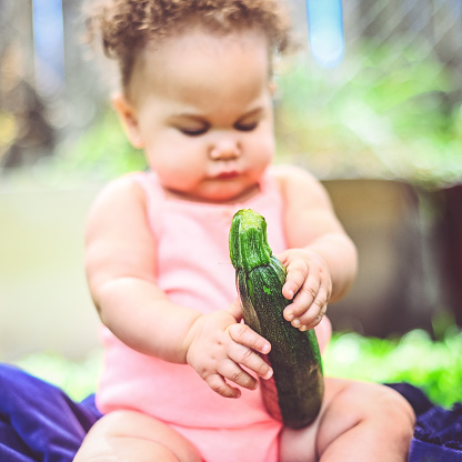 Cute little 8 month old baby girl plays with a ripe raw zucchini, she is curious about it and holds with with her little toddler hands outdoors. Child is mixed race African American and Caucasian