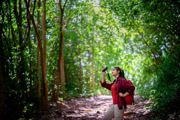 istock Asian female hipster hiking in forest 1142351306