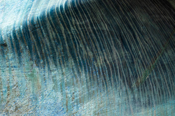 The weathered paint on the curved hull of a small dinghy or row boat.  Port Andratx, Mallorca.