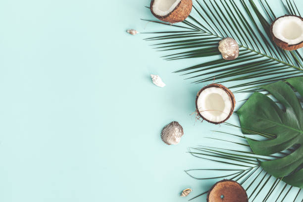 istock Summer composition. Tropical palm leaves, coconut on pastel blue background. Summer concept. Flat lay, top view, copy space 1142358098