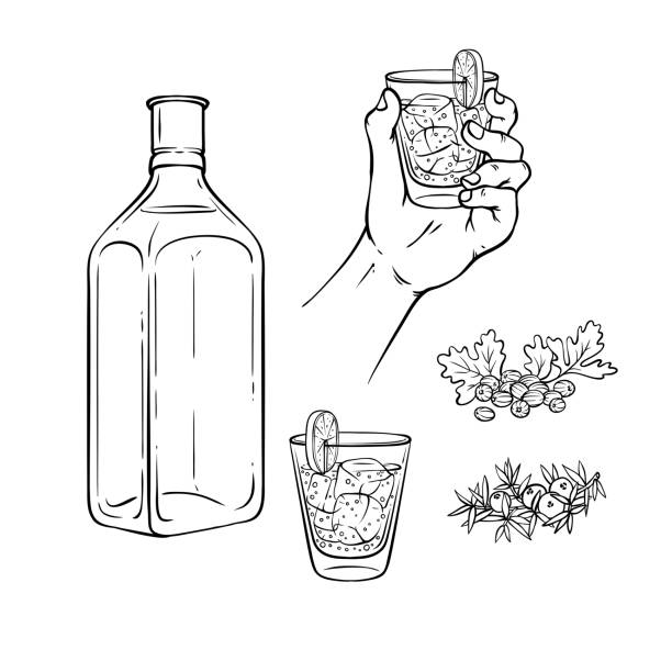 illustrations, cliparts, dessins animés et icônes de vector sketch gin tonic, ensemble de concept de tequila - holy spirit