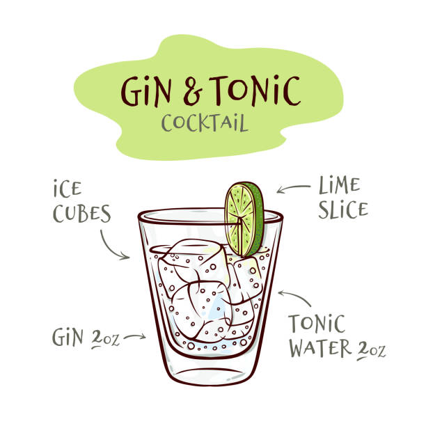 ilustrações de stock, clip art, desenhos animados e ícones de vector illustration of gin and tonic cocktail recipe with proportions of ingredients. - fruit freshness tree foods and drinks