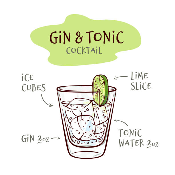 Vector illustration of gin and tonic cocktail recipe with proportions of ingredients. Vector illustration of gin and tonic cocktail recipe with proportions of ingredients in sketch style - hand drawn glass with ice cubes and alcohol drink isolated on white background. gin tonic stock illustrations