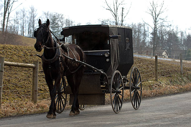 amish caballos y buggy - cochero fotografías e imágenes de stock
