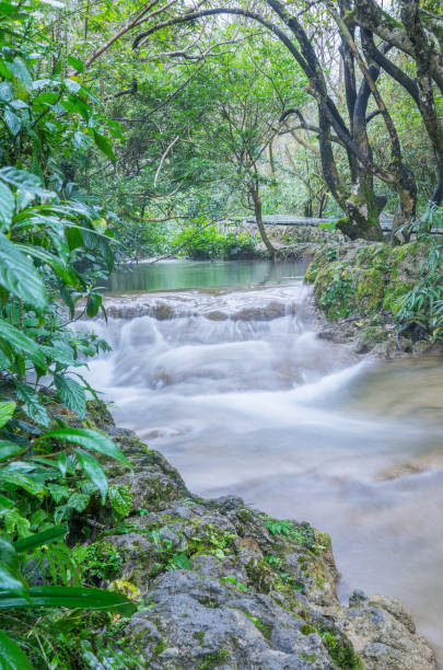 istock Water stream,Mountain river with stones 1142358796
