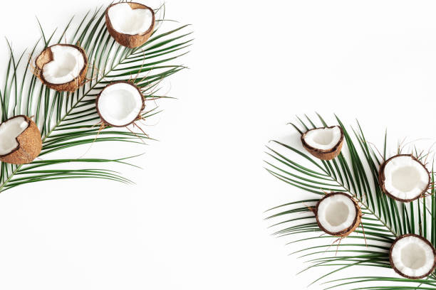 istock Summer composition. Tropical palm leaves, coconut on white background. Summer concept. Flat lay, top view, copy space 1142358969